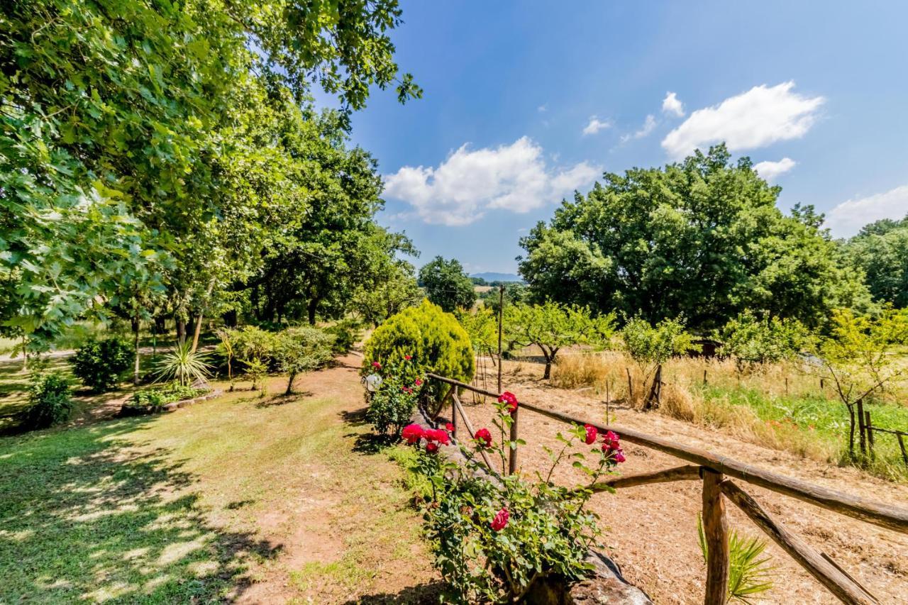 Country House Di Campo Stivaletto Nepi Exterior photo